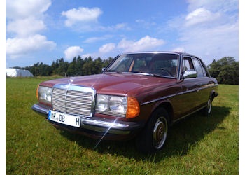 Bild 17